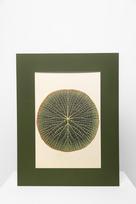 Botaninis printas „Vandens lelijos lapas“