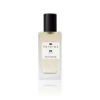 ANTOINE „Intense“ EDT 30 ml.