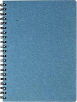 Kalendorius - užrašinė TIMER, su spirale, A5, DKKTIM4740438064781