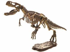 T-REX skeleto 3D kasimo rinkinys