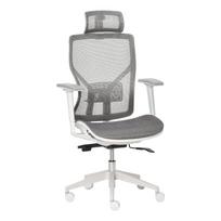 Ergonomiška biuro kėdė su galvos atlošu, juosmens pagalvėle, 3D porankis
