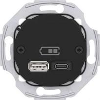 USB socket 2x3A (A+C) 45W black, Renova WDE011765 | 3606482164772