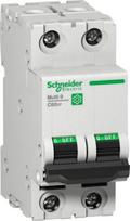 2P C 6A Miniature Circuit Breaker (MCB) 10kA Multi9 C60SP M9F22206 | 3606481168405