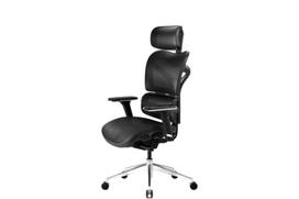 Ergonominė kėdė Diablo V-Commander, tinklas, juodas