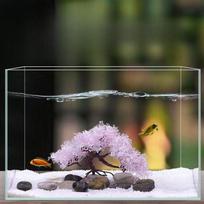 Kūrybiški dirbtiniai akvariumo augalai - Žuvų rezervuaro dekoravimo ornamentai ir Bonsai stiliaus Aquascape dekoras 120G balta