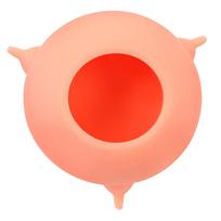 Bubble Milk Bowl šuniukų slaugos stotis Naminių gyvūnėlių maitinimo buteliukas naminių gyvūnėlių priedai Pieno lesyklėlė Silikoniniai 3 speneliai 200ml Naujagimio lesyklėlė