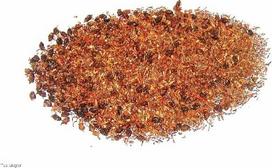 Šaltalankių Rooibos arbata 1 kg 30% uogų Tee-Meyer