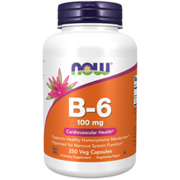 Now Foods Vitamin B-6 100 mg 250 caps