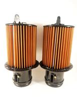 Sprint Filter C1007S AUDI R8 SPYDER (42) 2011-2015 5.2 FSI QUATTRO (O.E. 420133844D) (Full Kit) Air Filter