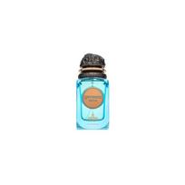Risala Elite Genesis Alpha EDP 100 ml kvepalai vyrams