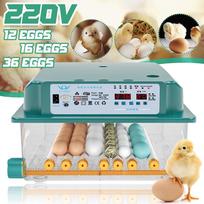 30W/35W 12/16/36 Kiaušinių Inkubatorius Brooder Paukščių Putpelių Viščiukų Perykla Inkubatorius Paukštienos Perintuvas Kiaušinių Vartytuvas Skaitmeninis Automatinis Ūkio Inkubavimo Įrankis 12 Eggs
