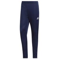 Sportinės kelnės vyrams Adidas Entrada 22 Training Panty M HC0333, mėlynos