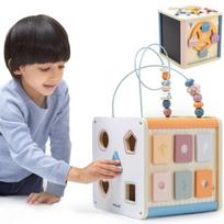 Edukacinis kubas Viga PolarB 8in1