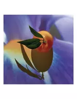 LOEWE SOLO CEDRO ELIXIR EDP 50 ml