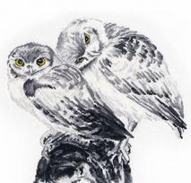 Siuvinėjimo komplektas kryželiu „Įsimylėję pelėdžiukai“, 25×27 cm, 16 ct