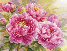 Peonijų siuvinėjimo komplektas „Bijūnai“, 40×30 cm, 14 ct, 45 spalvų