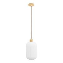 Baltos spalvos kabantis šviestuvas ø 20 cm su stiklo gaubtu Argalo – House Nordic