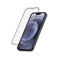 SP apsauginė plėvelė stiklo iPhone 12 Mini modeliui