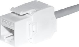 NetRack Keystone module Jack RJ45 cat. 5e UTP, toolless Netrack, white