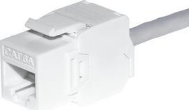NetRack Keystone module Jack RJ45 cat. 6A UTP, toolless, white Netrack