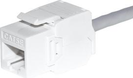 NetRack Keystone module Jack RJ45 cat. 6 UTP, toolless, white Netrack