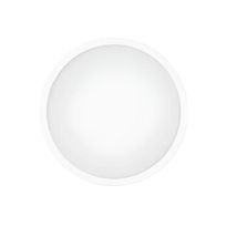 Xiaomi Smart Ceiling Light D40