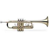 Stagg WS-TR255S trimitas