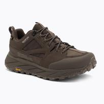 Vyriški žygio batai Jack Wolfskin Terraquest Texapore Low gecko bear