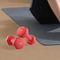 SONGMICS hanteliai, 2 vnt. rinkinys, 2 x 3kg