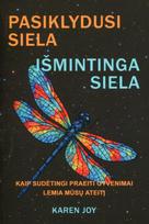 Pasiklydusi siela, išmintinga siela. Kaip sudėtingi praeiti gyvenimai lemia mūsų ateitį - Karen Joy