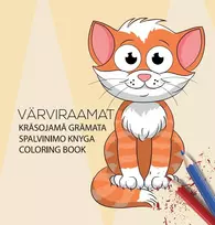 Spalvinimo knygelė College vaikams, 21 x 22 cm, 32 lapai