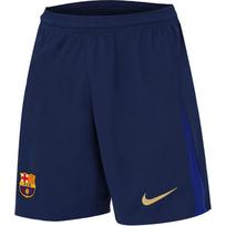 Nike Dri-FIT Barselonos futbolo klubas 2024/25 namų marškinėliai su siuvinėtu logotipu, prakaitą sugeriančios, patogios, vienspalvės futbolo kelnės vyrams, apatiniai FZ4691-410 L