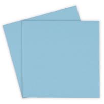 Thermal Grizzly Minus Pad Pro – 100 x 100 x 1,0 mm