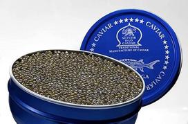 "Sepehr Dad Amur Beluga" ikrai, A klasės žuvų ikrai, veisliniai CN, 500 g
