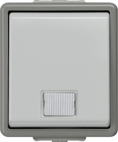 Control switch, with pilot lamp, 10A 250V 66x75mm, IP44, Grey, DELTA fläche 5TA4710 | 4001869002507