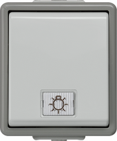 OFF switch with lamp+2 windows (neutral, light), 10A 250V 66x75mm, IP44, Grey, DELTA fläche 5TA4711 | 4001869038223