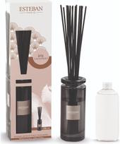 Namų kvapas ESTEBAN Iris Cashmere, 100 ml, su lazdelėmis