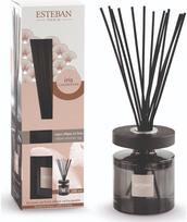 Namų kvapas ESTEBAN Iris Cashmere, 200 ml, su lazdelėmis