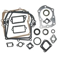 Pilnas tarpinių rinkinys variklio galvutei Briggs & Stratton 590777 794209 699933 298989