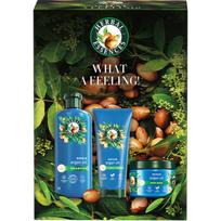 Herbal Essences Argan Oil Repair Gift Set dovanų rinkinys pažeistiems plaukams