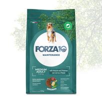 FORZA10 Medium Adult Maintenance su elniena ir bulvėmis - 2 kg