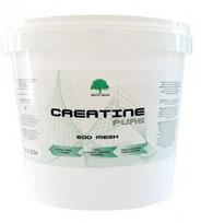 Maisto papildas BALTŲ GALIA kreatinas Creatine PURE 500g