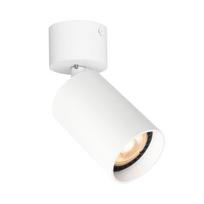 Kryptiniai Šviestuvai Lafin SPL-23436-1R-WH