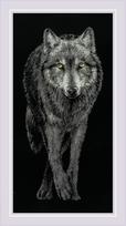 RIOLIS "Alpha" siuvinėjimo rinkinys Nr. 2187 — 25×50 cm, 14ct juoda Aida, 10 spalvų vilnos/akrilo siūlai