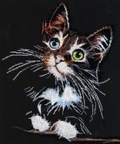 Abris Art siuvinėjimo rinkinys Pūkuotas kačiukas — juodas 14 ct Aida 30×35 cm, 24 spalvos