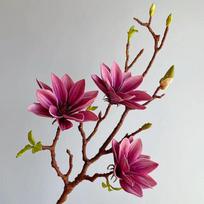 72CM Tikroviškas EVA magnolijų puokštė Didelė orchidėja Dirbtinių gėlių šaka su lapais Vestuvių namų stalo vakarėlio vazos dekoracija