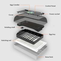 AC 110-220V Automatinis inkubatorius 20 viščiukų kiaušinių Didelės talpos inkubatorius Skaitmeninis temperatūros valdymas Brooder Kokybiška peryklos mašina Juoda+Balta