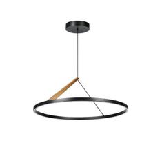 Rabalux 72352 - LED pakabinamas šviestuvas ant laido RENARA LED/40W/230V 3000K