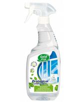 Langų ir stiklų valiklis ECOLINE, 750 ml
