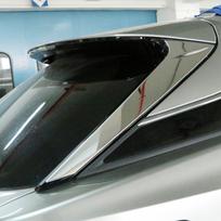Lexus RX galinio lango apdaila 450h, 200t, 300, RX200 modifikacijoms